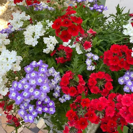 D'hotes Du Carre Des Arts Ubytování v soukromí Honfleur