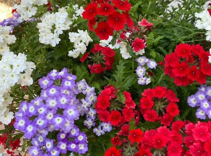 D'hotes Du Carre Des Arts Проживание в семье Онфлёр